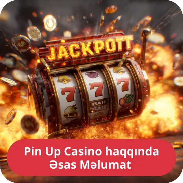 Pin Up Casino haqqında Əsas Məlumat